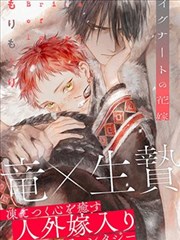 航海王漫画